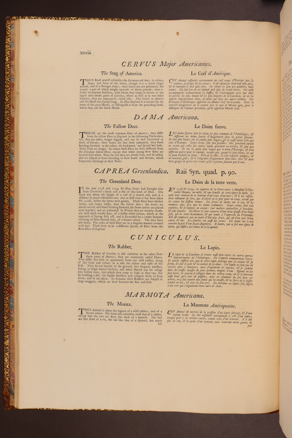 Page xxviii